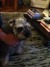 Ipod tuch 372_tiny